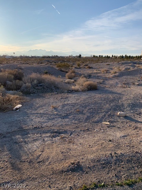 Ward, North Las Vegas 89032