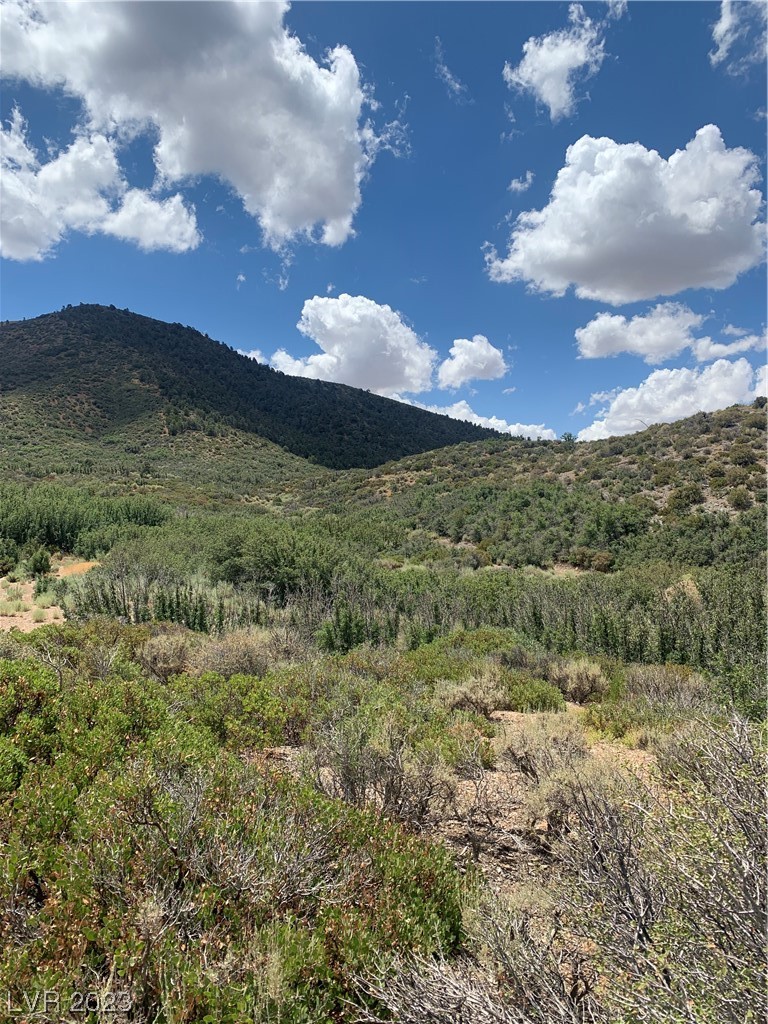 Photo 6 of 19, Lovell Summit