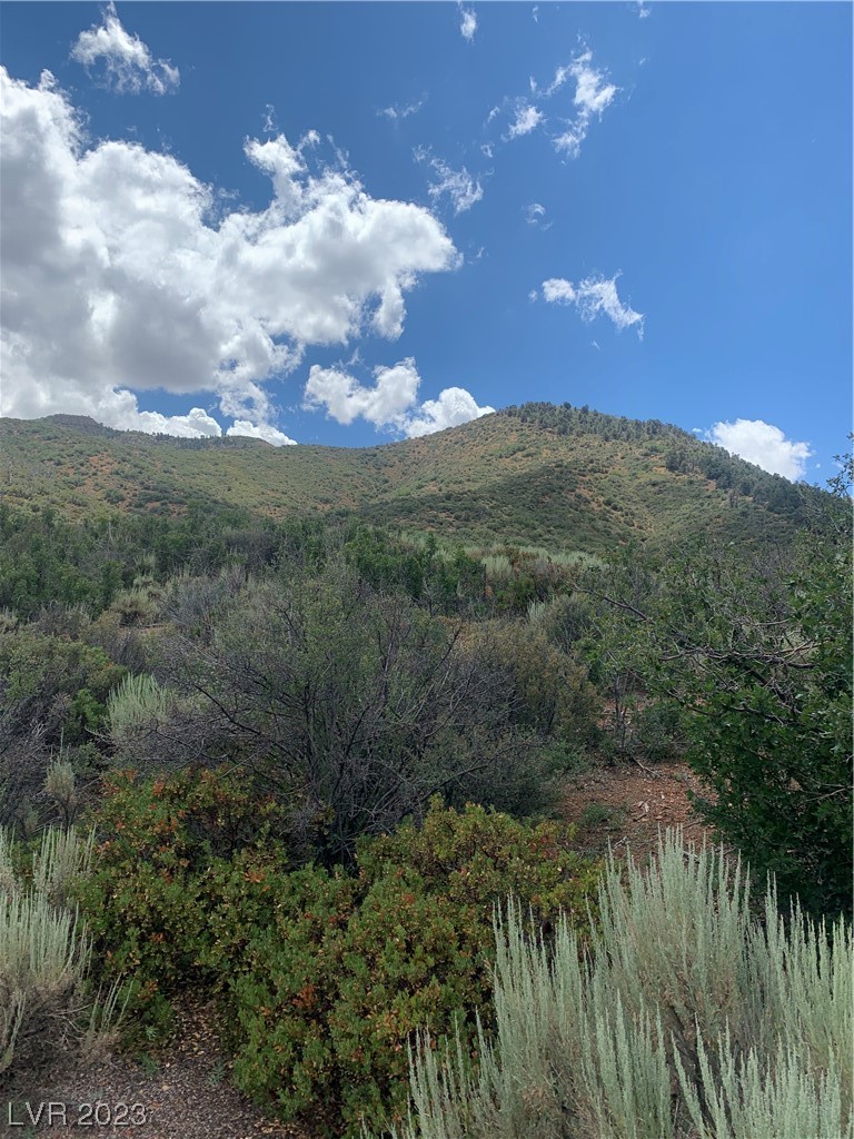 Photo 7 of 19, Lovell Summit