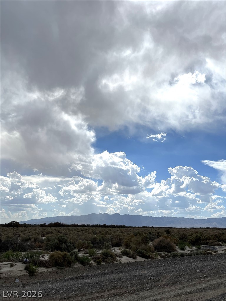 3901 E Gamebird Road, Pahrump
