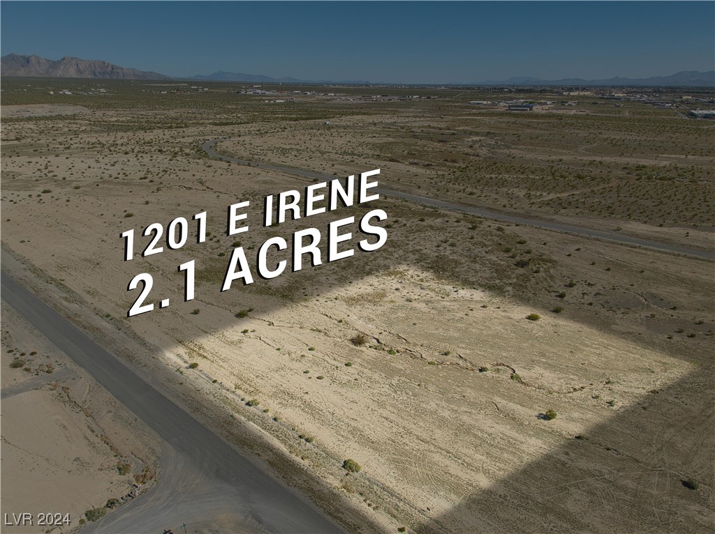 1201 E Irene Street, Pahrump 89060