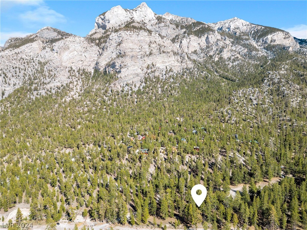 Photo 3 of Lee Canyon Road