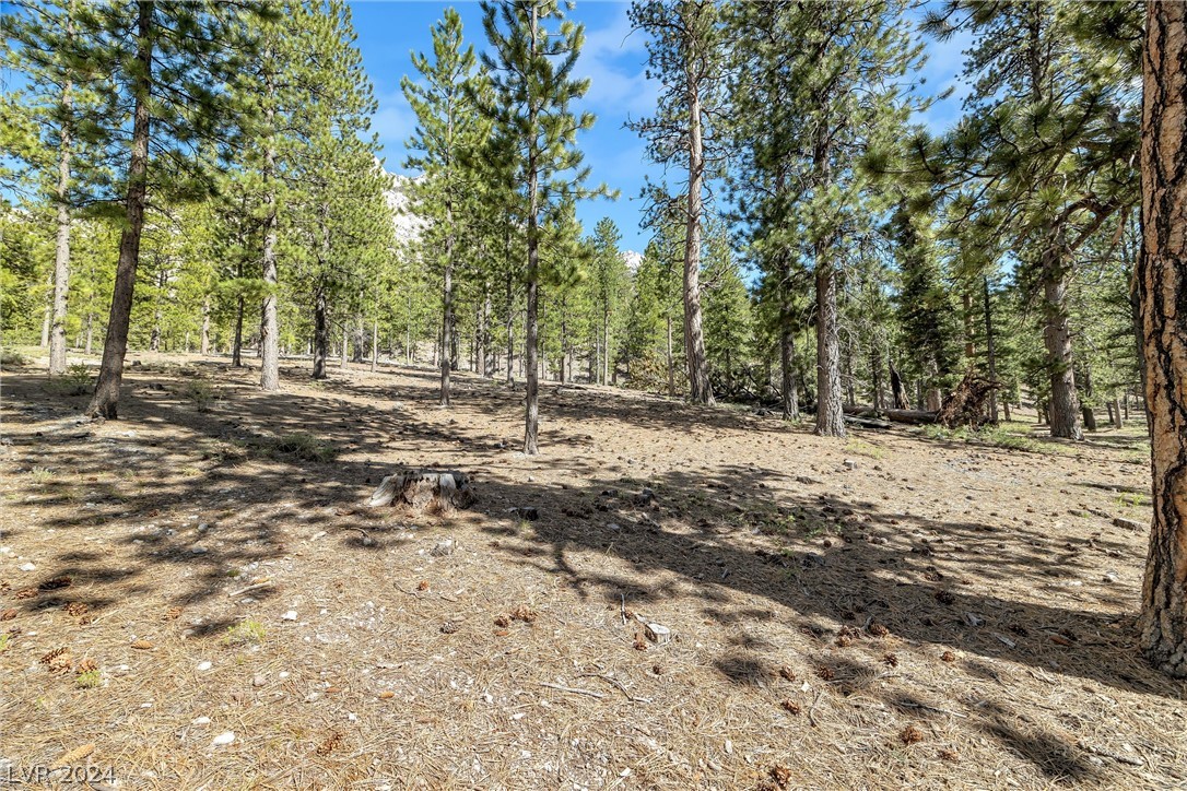 Photo 4 of Lee Canyon Road