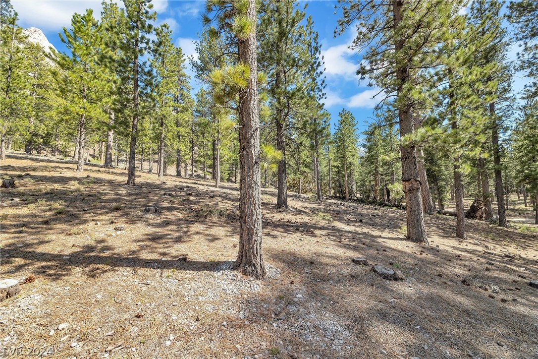 Photo 5 of Lee Canyon Road
