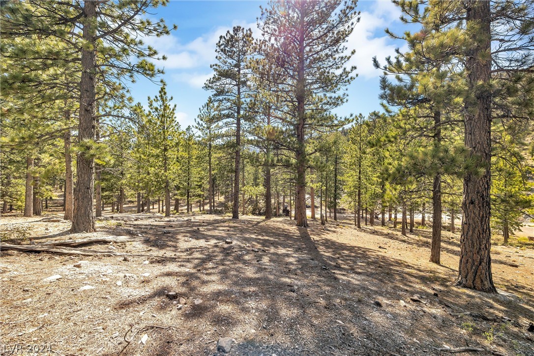Photo 7 of 54, Lee Canyon Road