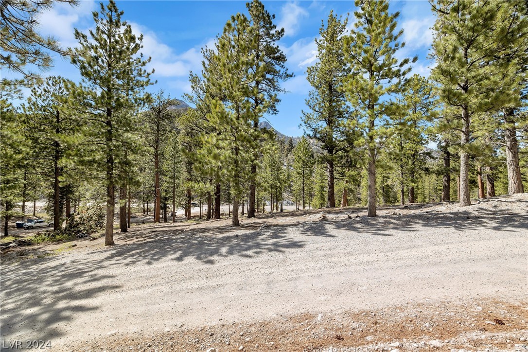 Photo 9 of 54, Lee Canyon Road