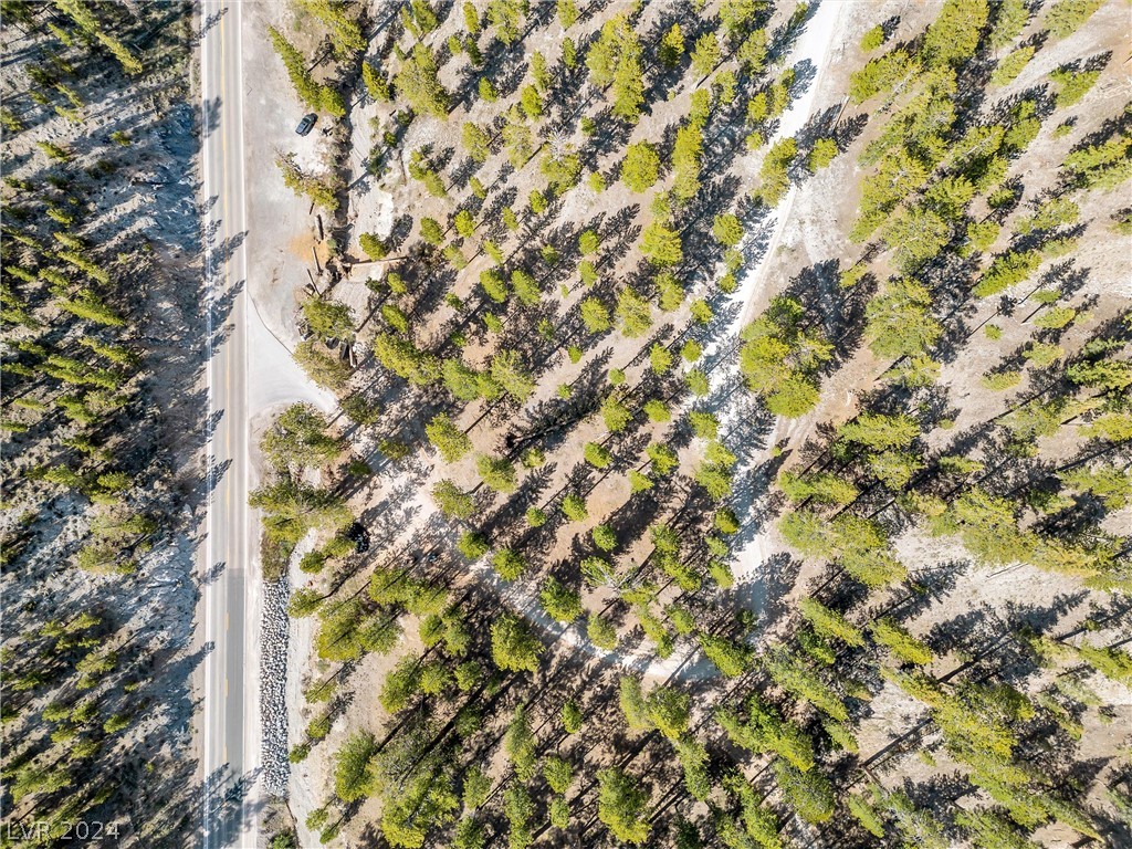 Photo 15 of 54, Lee Canyon Road