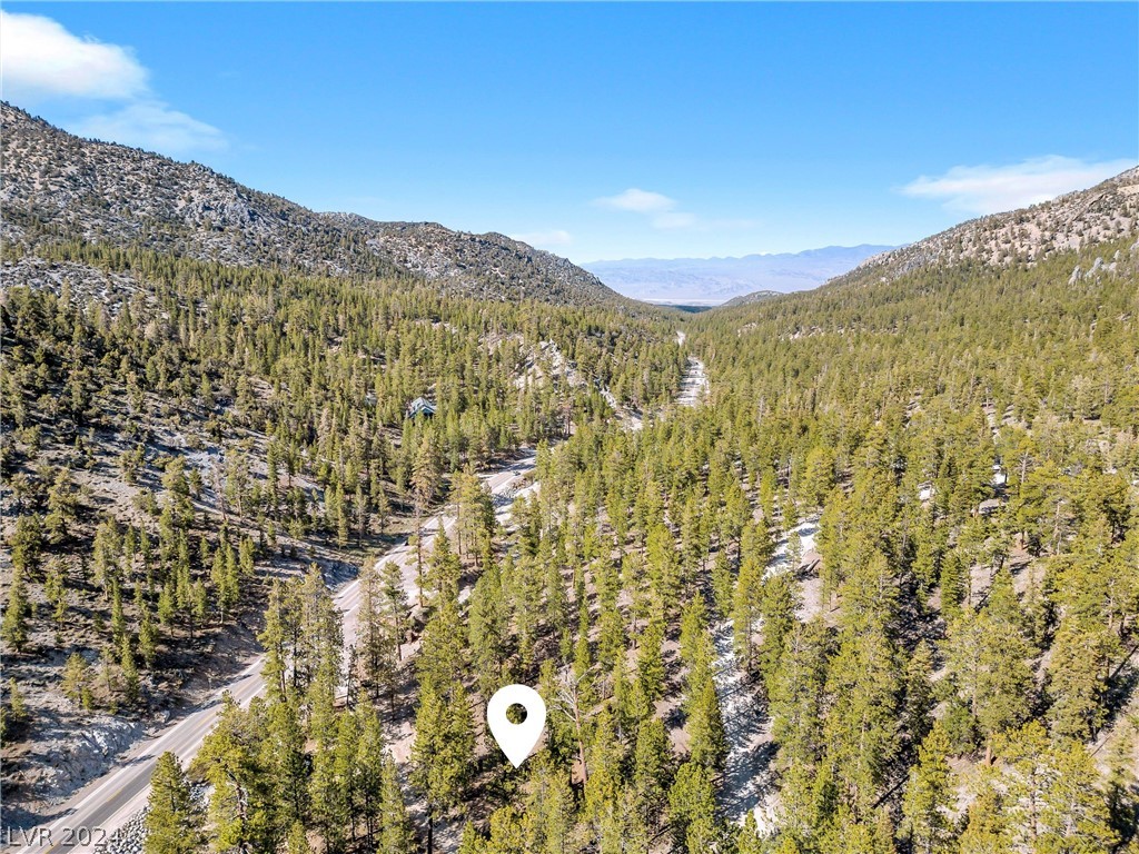 Photo 17 of 54, Lee Canyon Road
