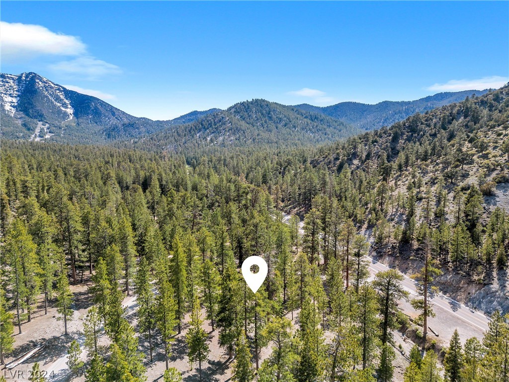 Photo 20 of 54, Lee Canyon Road
