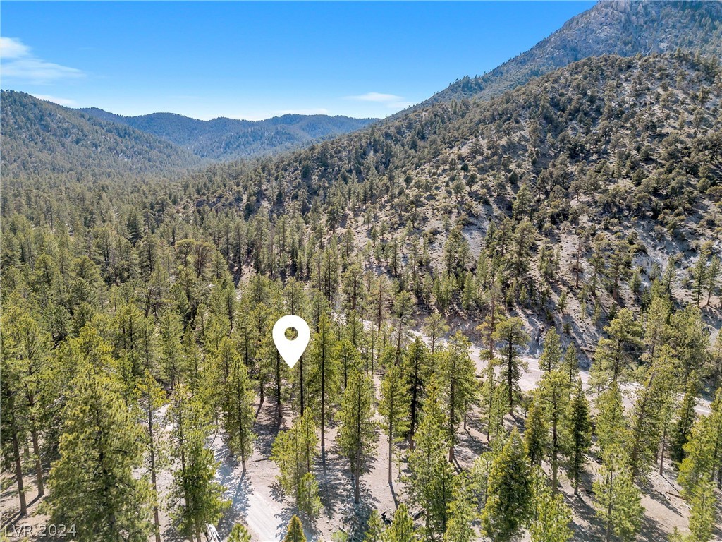 Photo 21 of 54, Lee Canyon Road