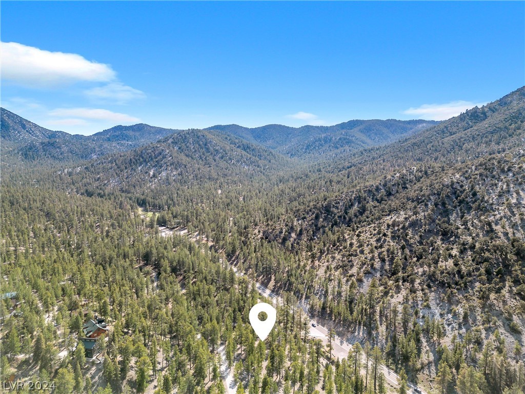 Photo 25 of 54, Lee Canyon Road