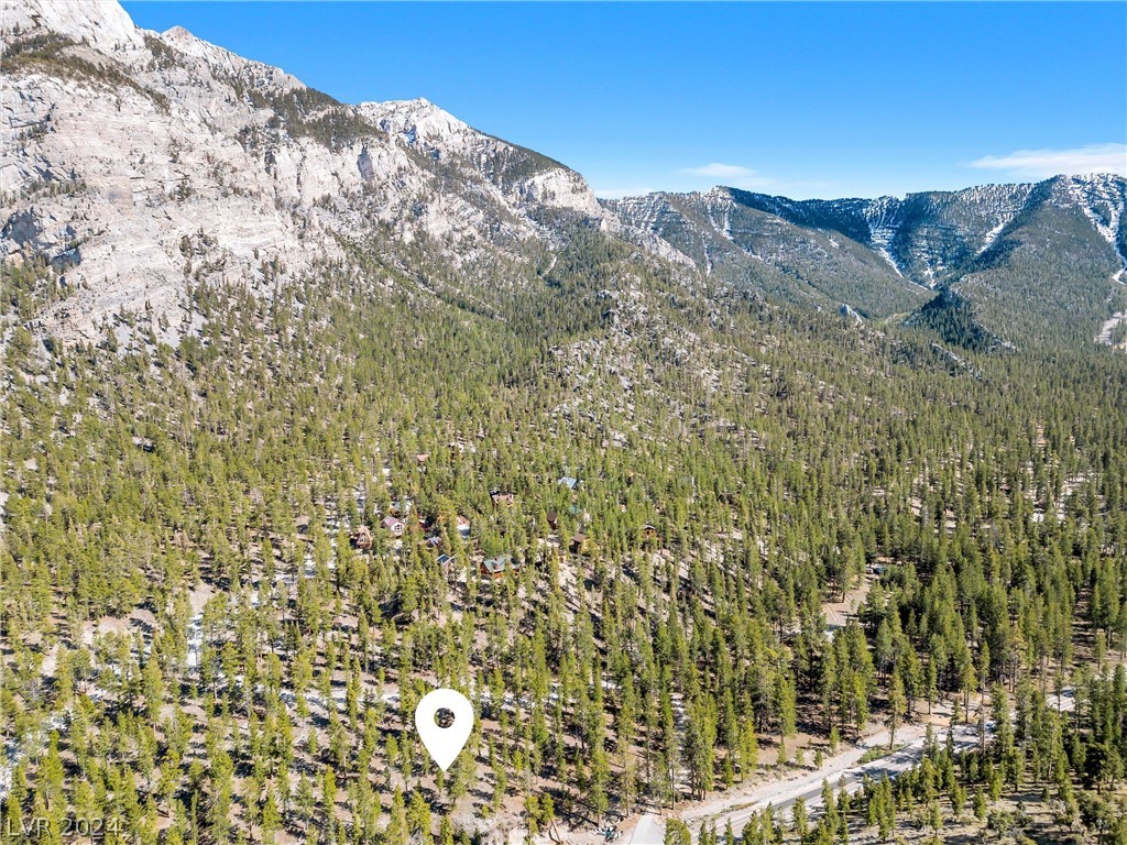 Photo 31 of 54, Lee Canyon Road
