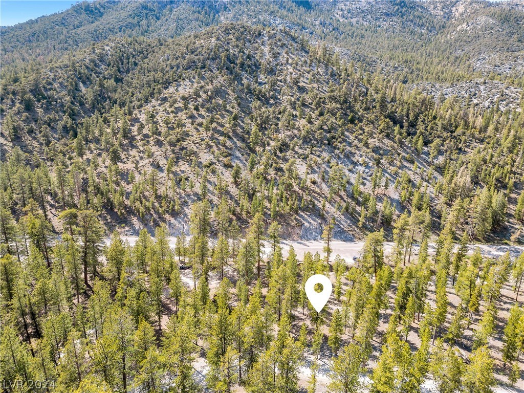 Photo 33 of 54, Lee Canyon Road