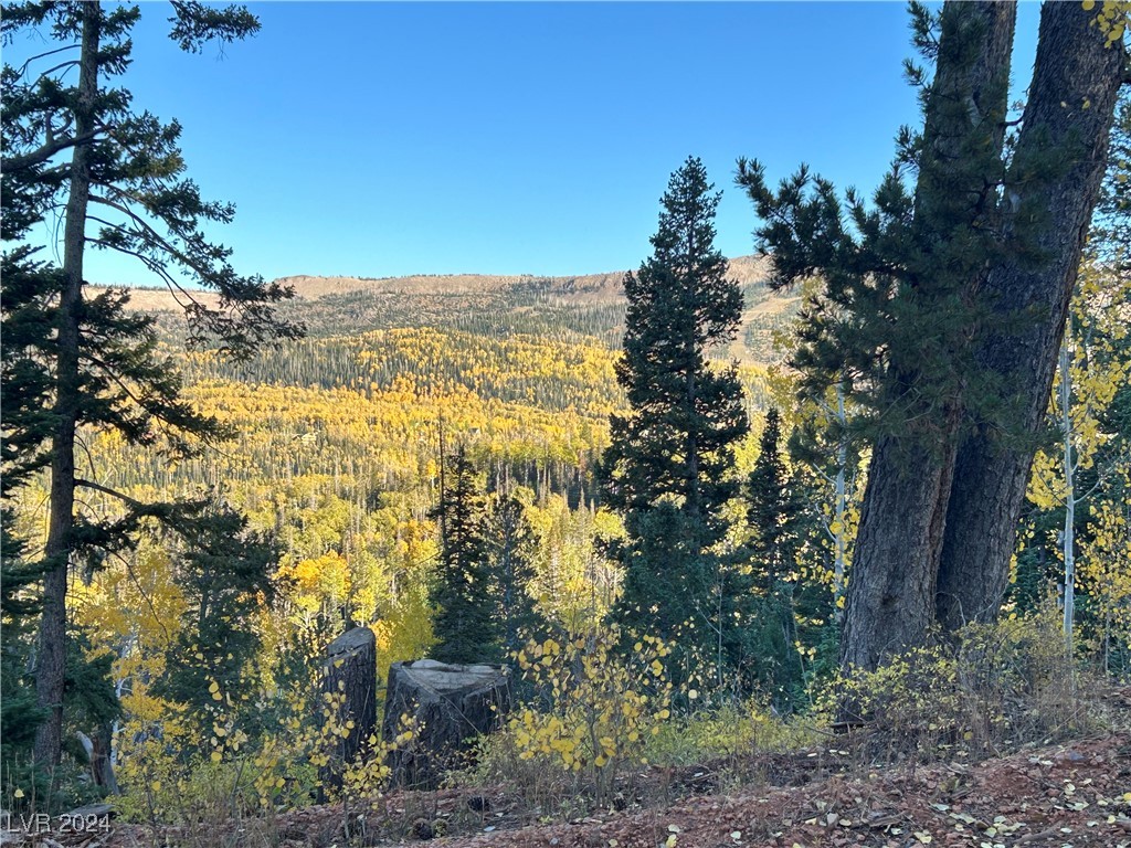 660 W Ski View Drive, Brian Head