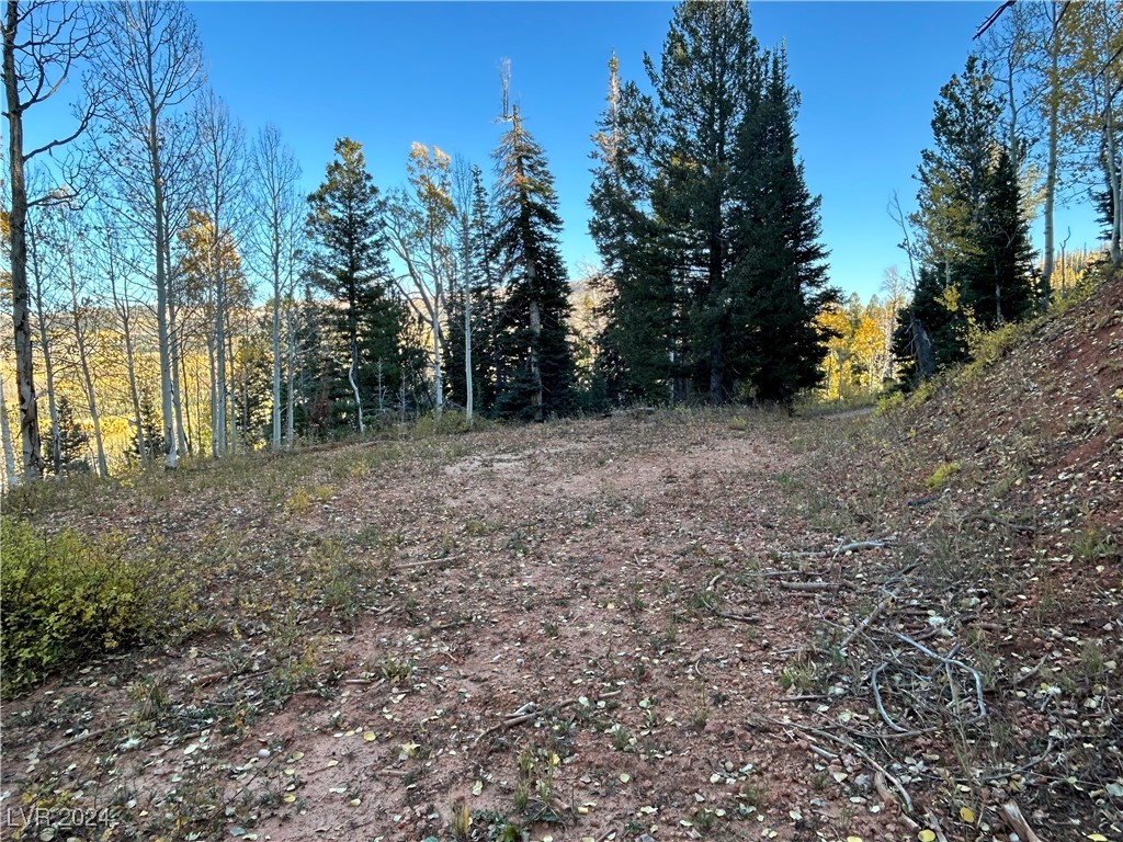 Photo 5 of 660 W Ski View Drive