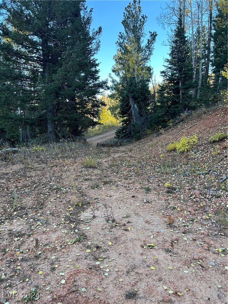 Photo 11 of 11, 660 W Ski View Drive