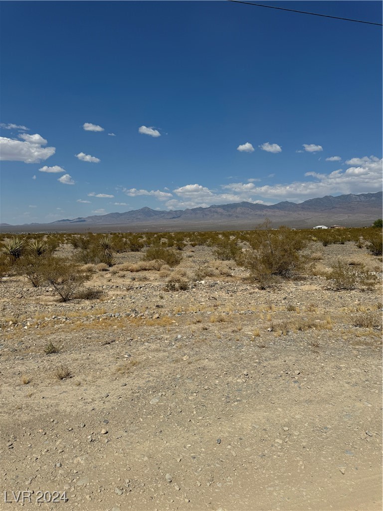 1410 E Blosser Ranch Road, Pahrump 89060