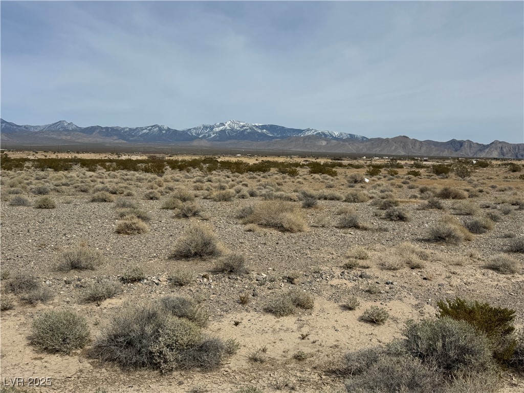 731 N Emery Street, Pahrump 89060