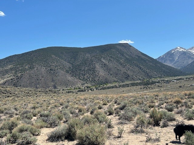 Photo 4 of 1330 WILD HORSE RUN