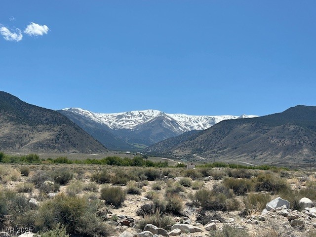 Photo 10 of 17, 1330 WILD HORSE RUN