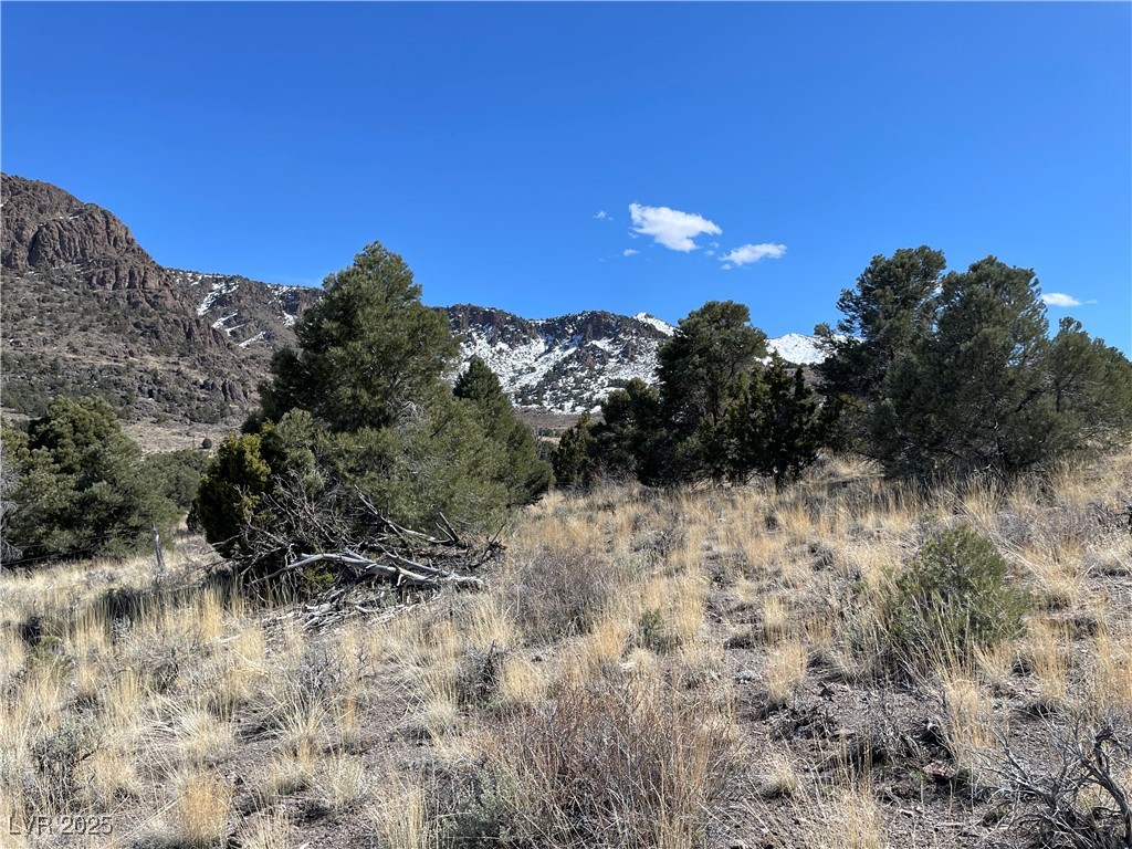 P-15 Butte Valley, Ely