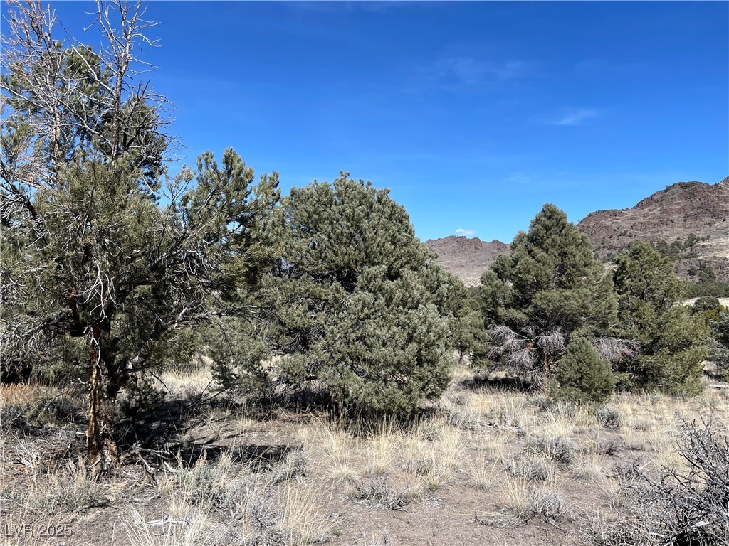 Photo 2 of P-15 Butte Valley