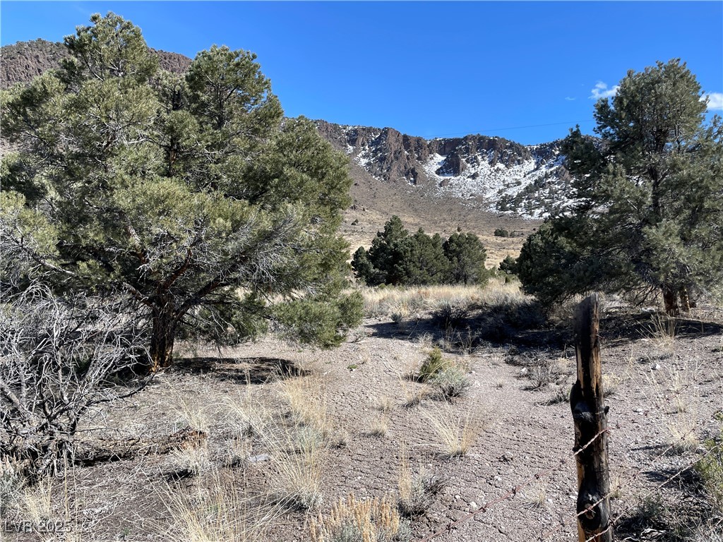 Photo 3 of P-15 Butte Valley