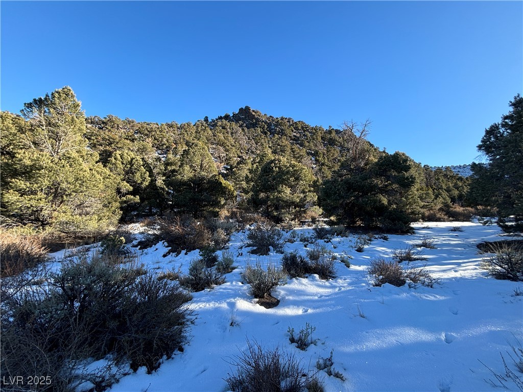 P-19 Butte Valley, Ely 89301