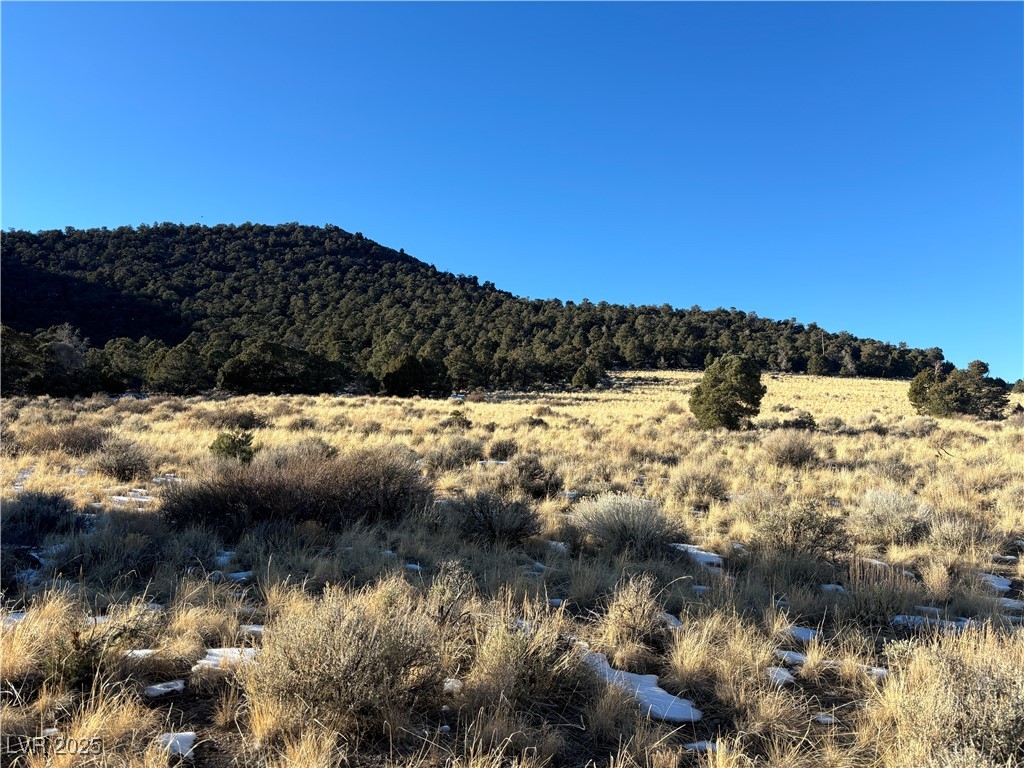 Photo 3 of P-19 Butte Valley