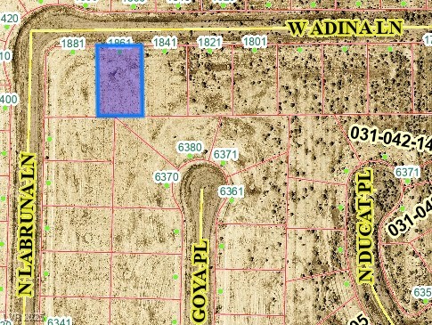 1861 W Adina Lane, Pahrump