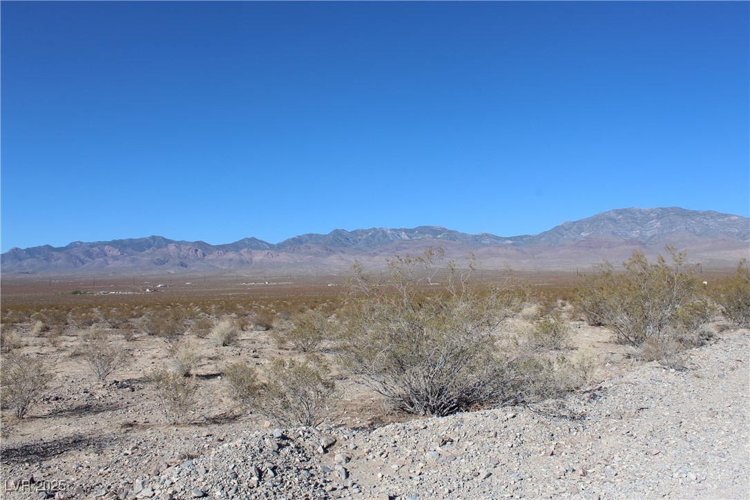 1130 E Harris Farm Road, Pahrump 89060