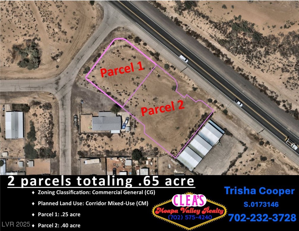 N Moapa Valley Blvd and N Oliver St, Overton