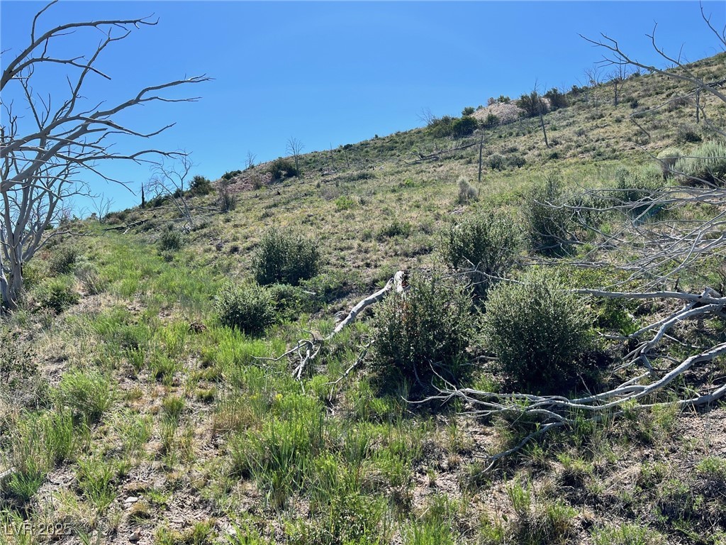 Photo 2 of Canyon Peak