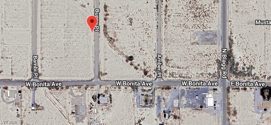 2810 N Bunny Place, Pahrump 89060