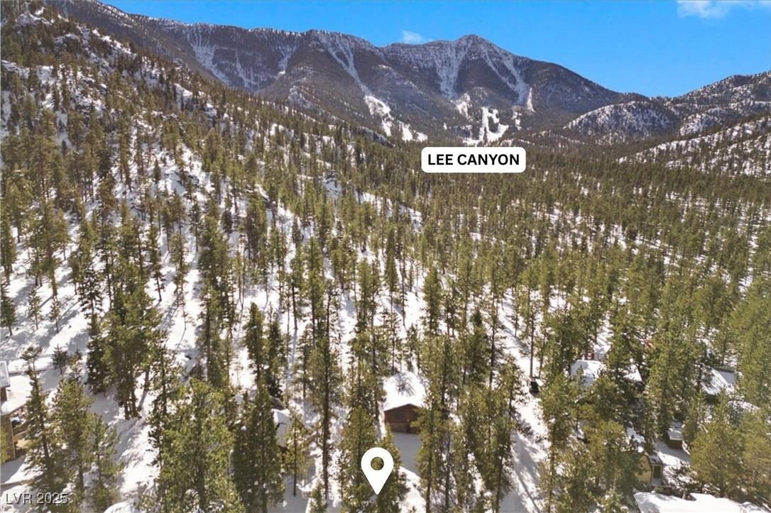 2130 Via Vita Street, Mount Charleston