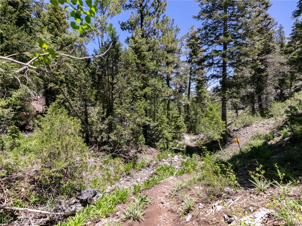 Photo 35 of 63, 4085 Cougar Ridge Trail
