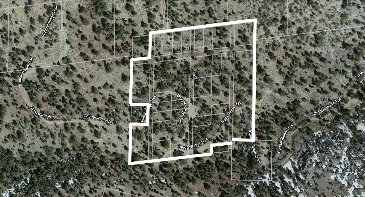 4085 Cougar Ridge Trail, Mount Charleston 89124