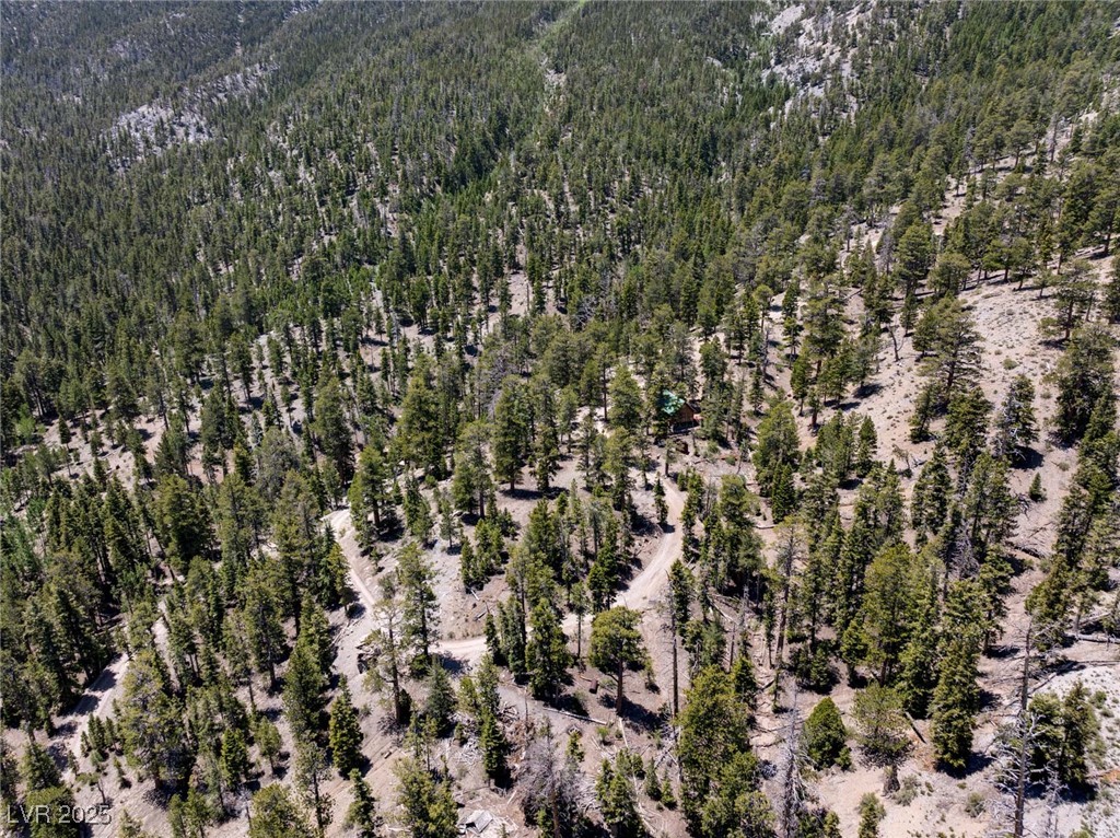 Photo 8 of 63, 4085 Cougar Ridge Trail