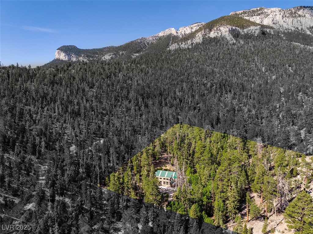 APN 128-07-201-017 N Fork Deer Creek, Mount Charleston