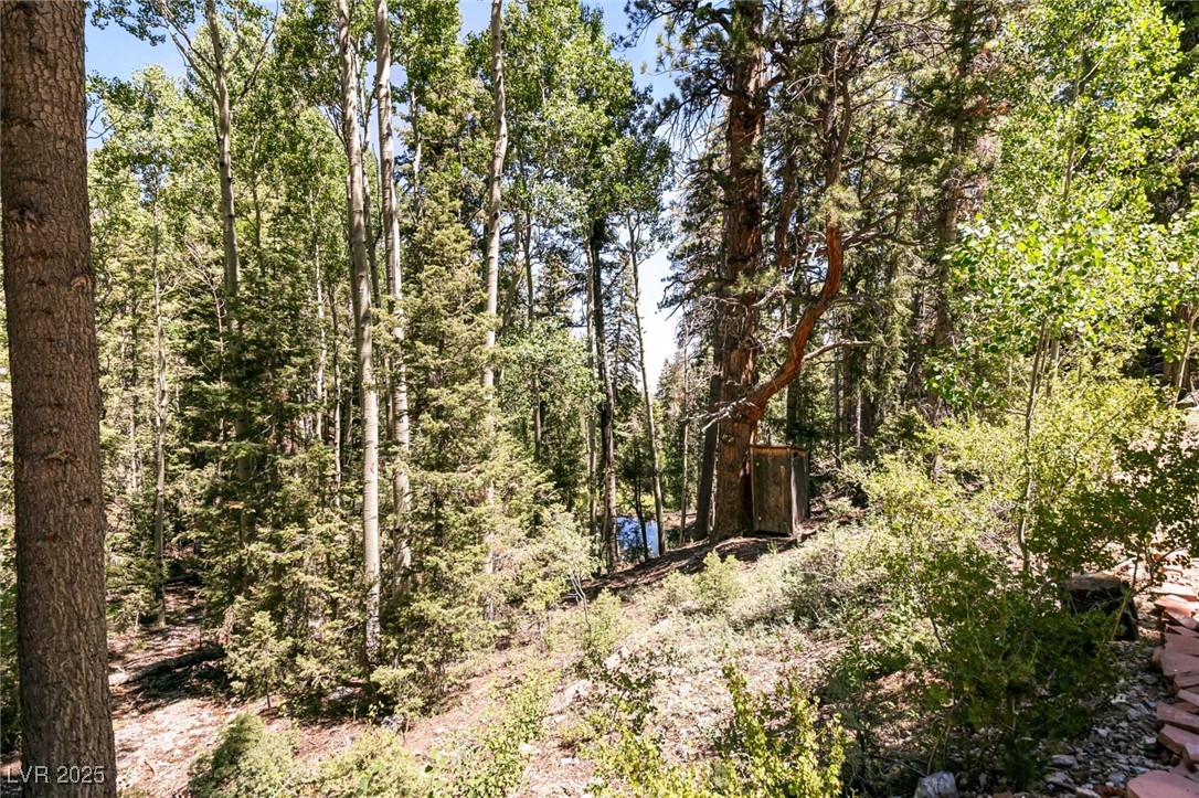 Photo 39 of 56, APN 128-07-201-017 N Fork Deer Creek