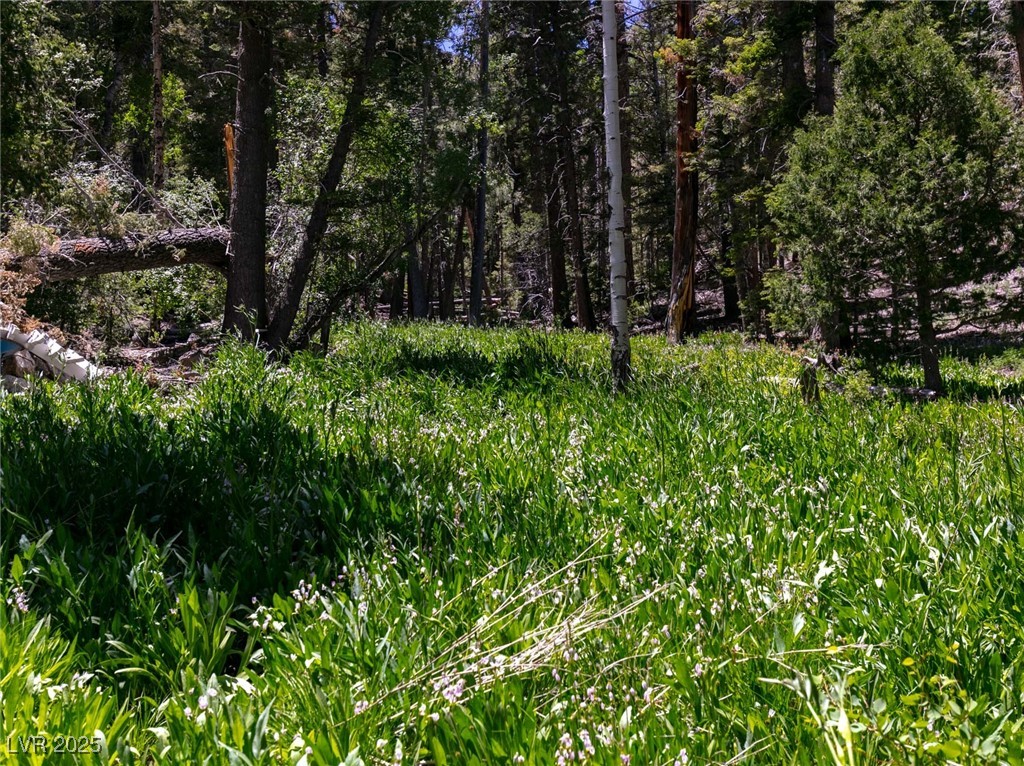Photo 53 of 56, APN 128-07-201-017 N Fork Deer Creek