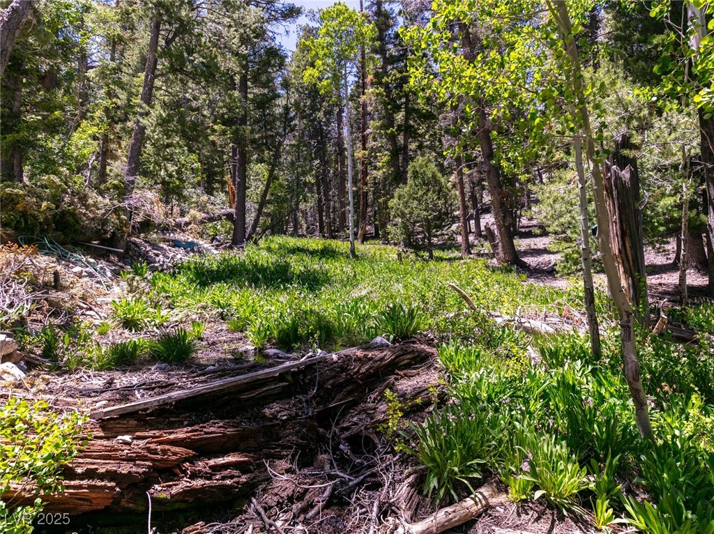 Photo 55 of 56, APN 128-07-201-017 N Fork Deer Creek