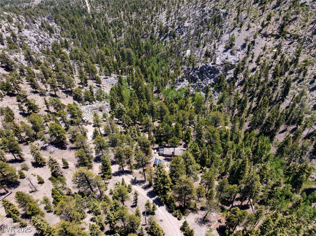 Photo 54 of 69, 4075 Cougar Ridge Trail