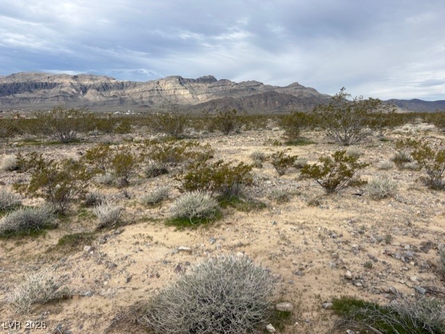 6850 N Blagg Road, Pahrump 89060