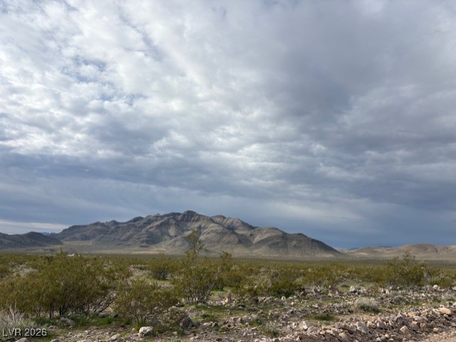 Photo 3 of 91 E Aardvark Road