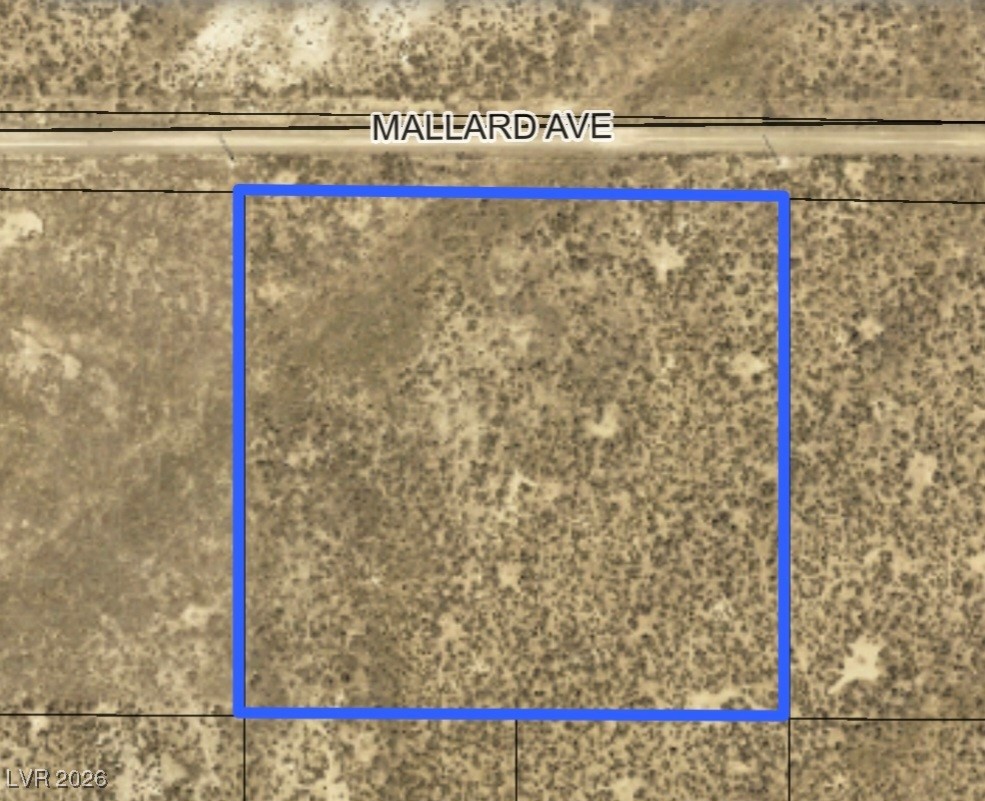 Mallard Avenue, Elko 89801