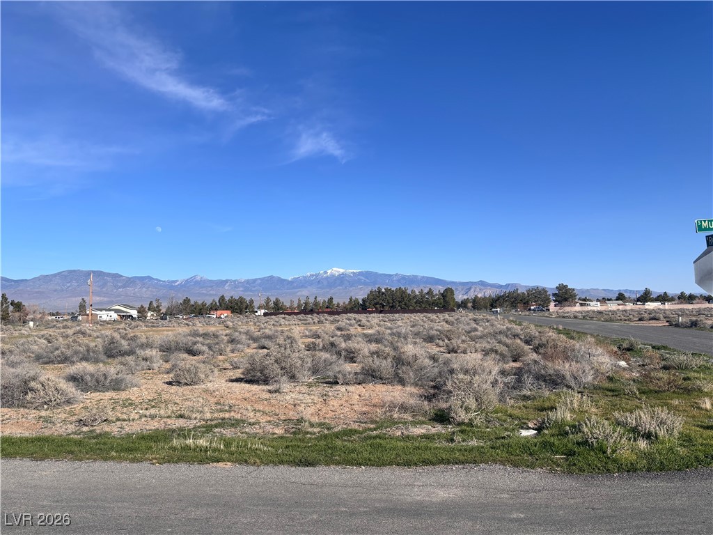 3480 W Retread Road, Pahrump 89048