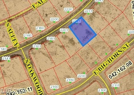 2221 E Ambush Street, Pahrump 89048