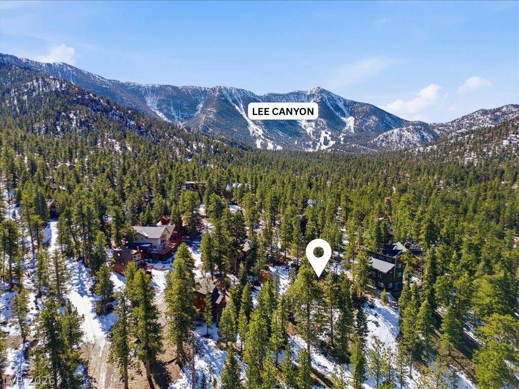 2209 Via Spes Nostra Street, Mount Charleston 89124