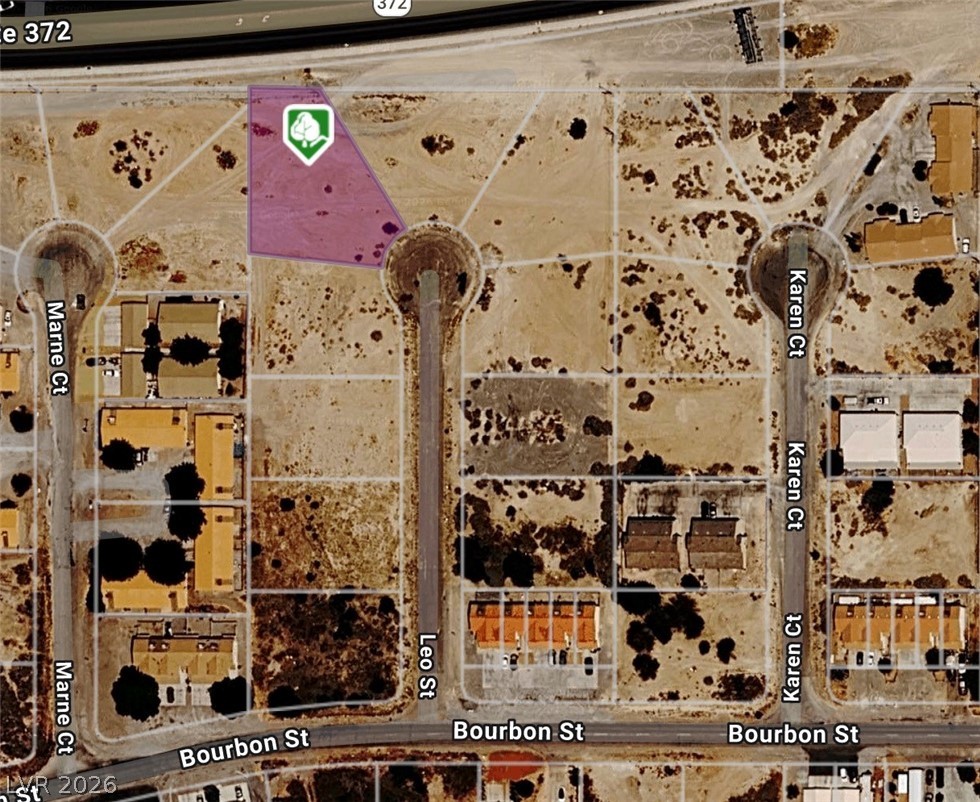 1030 S Leo Court, Pahrump